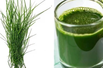 அருகம்புல் சாற்றில் இவ்வளவு மருத்துவகுணங்கள் உள்ளதா? இவ்வளவு நாள் இது தெரியாம போச்சே!!!