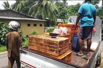 வவுனியாவில் கோழி விற்பனையில் ஈடுபட்டவரின் அனுமதிப்பத்திரம் பறிமுதல்