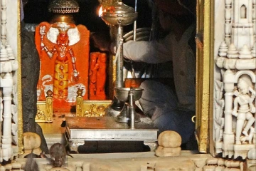 මීයන් ලෙස පුනරුත්පත්තිය ලැබූ කර්නිමාතාගේ බැතිමතුන්. (PHOTOS)