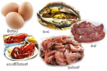 බිත්තර මිලත් අහස උසට යයි..මස් මාළුත් කාල හමාරයි..