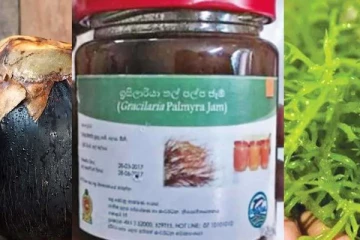 ශ්‍රී ලංකාවට පමණක් ආවේණික - සෞඛ්‍යමය ප්‍රතිලාභ රැසක් ඇති ජෑම් එකක් සොයාගනී.