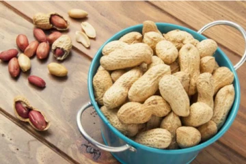 அதிகமான புரதச்சத்துக் கொண்ட வேர்க்கடலை! இதய நோயிலிருந்து நிச்சயம் பாதுகாக்கும்