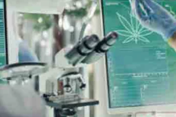 අලුතින්ම හෙළිදරව් වුණු කංසා ගැන සිදුවීම….