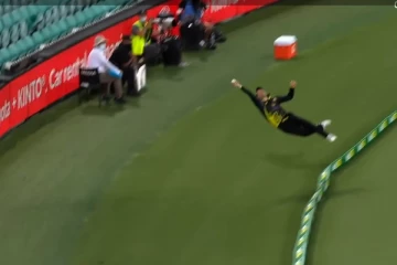 ஸ்பைடர் மேன் ஆக மாறிய ஆஸ்திரேலிய வீரர்  - கடைசியில் காத்திருந்த அதிர்ச்சி