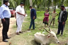 கால்நடைகளை பாதுகாப்பதற்கு விரைவில் நடவடிக்கை: அங்கஜன் உறுதி