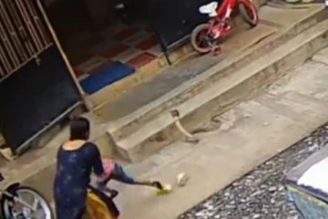 படமெடுத்து நின்ற நாகம்...குழந்தையை காப்பாற்ற தாய் செய்த காரியம்! பரபரப்பு வீடியோ