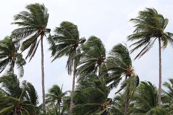 இன்றைய நாளுக்கான வானிலை அறிவித்தல் | Today Weather Update In Srilanka