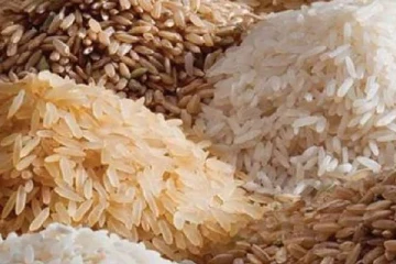 இலங்கையில்  மீண்டும் அரிசிக்கு  தட்டுப்பாடு?