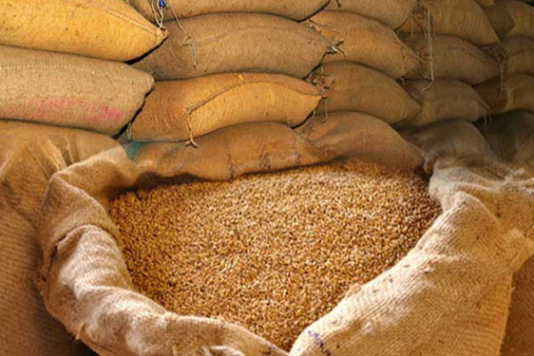 நெல்லுக்கான விலை தொடர்பில் அரசின் முக்கிய அறிவிப்பு | Good News For Paddy Farmers From Govt