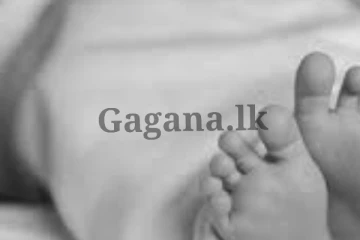 සාරියකින් බැඳ තිබූ තොටිල්ල නිසා දරුවෙක් මිය යයි.