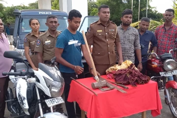 யாழில் கைதான வன்முறைக்கும்பல் - பின்னணியில் வெளிநாட்டவர் (படங்கள்)