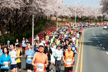 கொரிய எல்லைப்பகுதியில் திடீர் வெப்பநிலை உயர்வு : 8 வீரர்கள் வைத்தியசாலையில் அனுமதி