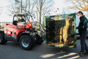 உக்ரைன் - ரஷ்யாபோர் ; மக்கள் மட்டுமல்லாது  விலங்குகளும் அகதிகளானது!