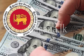 හදිසියේම ඉහළ ගිය රුපියලත් සමඟ අද දින මහා බැංකු නිල විනිමය අනුපාත මෙන්න.