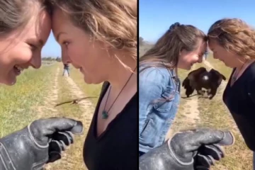 2 பெண்களுக்கு நடுவில் கழுகு செய்த காரியம்- வியப்பில் நெட்டிசன்கள்