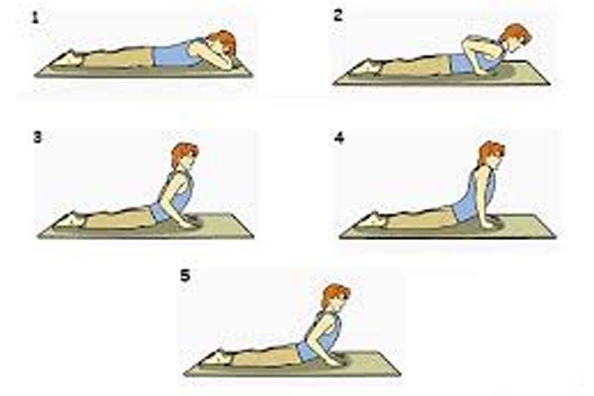 தொப்பையைக் குறைக்க வேண்டுமா? இந்த 4 யோகா மட்டும் போதும் | Belly Fat Reduce Help These 4 Yoga Asanas தொப்பையைக் குறைக்க வேண்டுமா? இந்த 4 யோகா மட்டும் போதும் | Belly Fat Reduce Help These 4 Yoga Asanas
