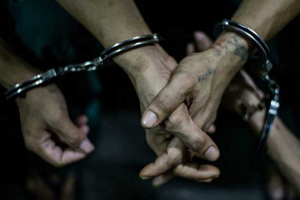 புதுக்குடியிருப்பில் மாடு கடத்திய மூன்று இளைஞர்கள் கைது | 3 Youths Arrested For Smuggling Cows In A Vehicle