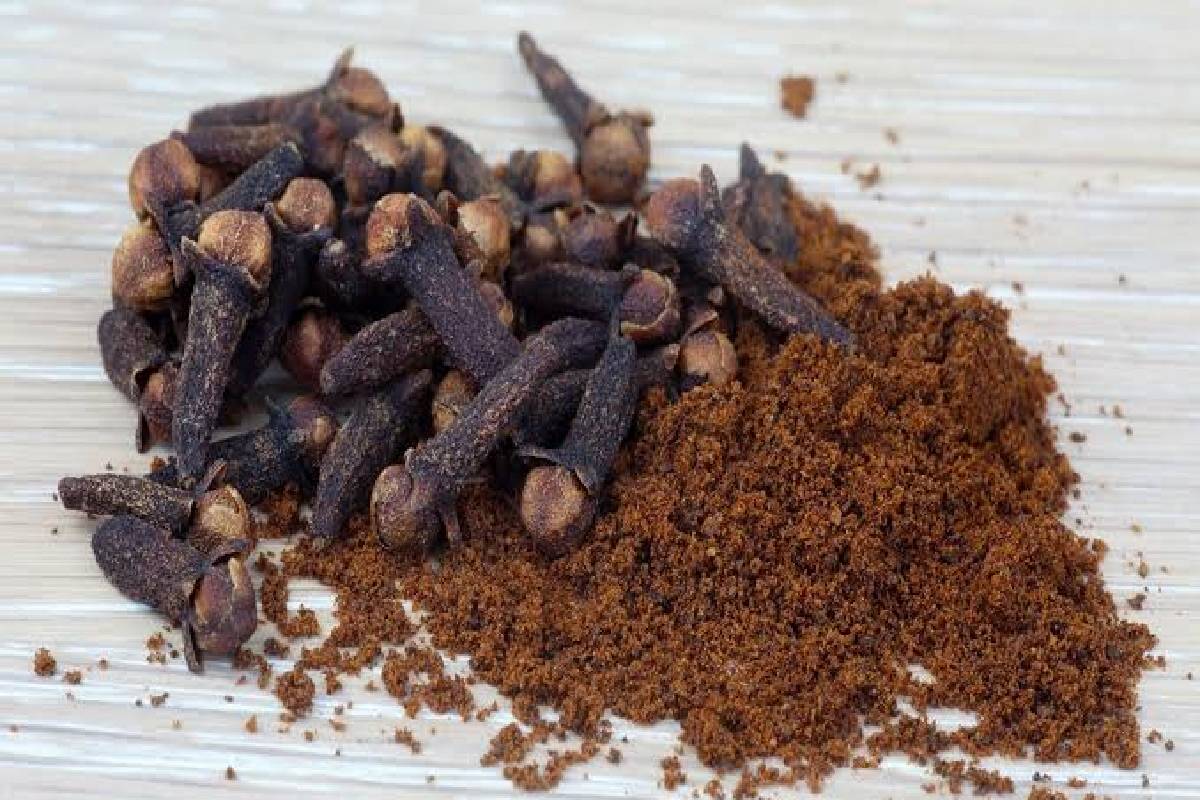 தினமும் காலையில் 2 கிராம்பு: உடலுக்கு கிடைக்கும் முக்கிய 5 நன்மைகள்! | Amazing Health Benefits Of Chewing Cloves Daily தினமும் காலையில் 2 கிராம்பு: உடலுக்கு கிடைக்கும் முக்கிய 5 நன்மைகள்! | Amazing Health Benefits Of Chewing Cloves Daily