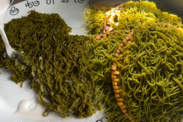 உடலிற்கு சத்தான முருங்கைக்கீரை இடியாப்பம்.., எப்படி செய்வது? | Murungai Keerai Idiyappam Recipe In Tamil