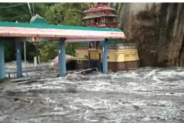 திருமூர்த்தி மலை பஞ்சலிங்க அருவியில் வெள்ள பெருக்கு- பதறவைக்கும் திக்.. திக் காட்சி!