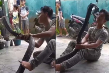 சீறி எழுந்த 15 அடி ராட்சத நல்ல பாம்பு: இளைஞர் செய்த நடுங்க வைத்த காரியம்