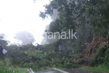 මාර්ගයකට ගස් සමඟ විශාල ගල් කඩා වැටෙයි - (PHOTOS)
