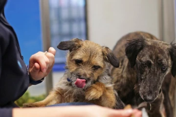 ஆபத்து! கொரோனாவால் பாதித்தவர்கள் இதை தவிர்க்க வேண்டும்... விஞ்ஞானிகள் முக்கிய தகவல்