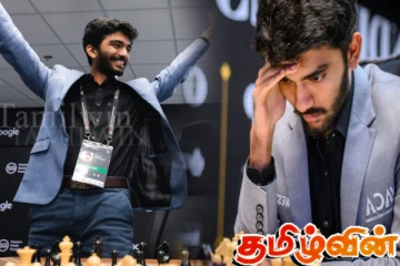 சீன வீரரை வீழ்த்தி செஸ் செம்பியன்ஷிப் பட்டத்தை தன்வசப்படுத்திய தமிழ்நாட்டு வீரர்