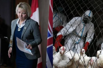 கனடாவில் பறவைக் காய்ச்சலால் பாதிக்கப்பட்டவர் தொடர்பில் அதிர்ச்சி தகவல்