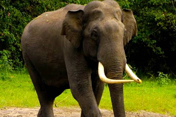 மட்டக்களப்பில் முன்னெடுக்கவுள்ள அபிவிருத்தி திட்டங்கள்: அமைச்சர் விசேட அறிவிப்பு | Development Projects To Implemented In Batticaloa