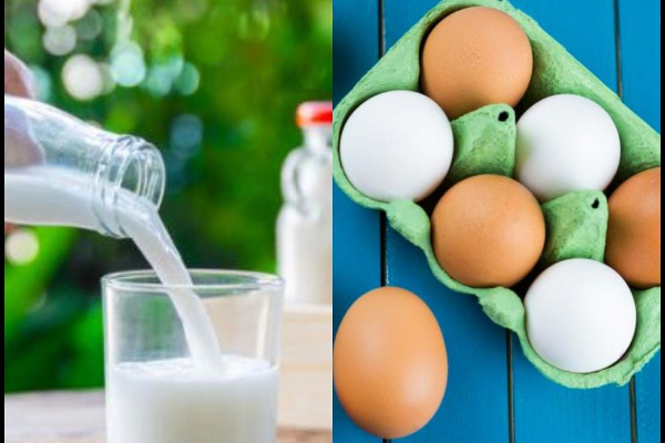 பால் - முட்டை ஆகியவற்றுக்கு பாரிய தட்டுப்பாடு ஏற்படும் ஆபத்து | Massive Shortage Of Milk And Eggs