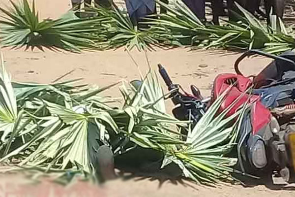 மன்னாரில் இடம் பெற்ற பரபரப்பு சம்பவம்; இருவர் உயிரிழப்பு | Shooting In Mannar