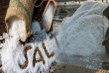 இலங்கையில் உப்பு இறக்குமதி தொடர்பில் அரசாங்கம் எடுத்துள்ள நடவடிக்கை