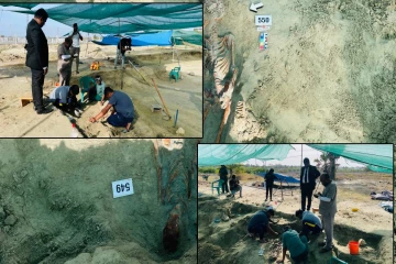 செம்மணியில் இன்றும் 10 என்புக்கூடுகள் அகழ்வு