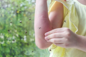 நாட்டில் சிறுவர்களை தாக்கும் டெங்கு!