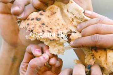 කුසට ආහාරයක් නොමැතිව, බඩගින්නෙම පුද්ගලයන් 1,400ක් මියගිය සංවේදී පුවතක්.