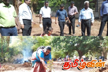 யாழ். மாவட்ட செயலகத்தினால் பசுமை காடாக்கல் செய்யத் திட்டம்