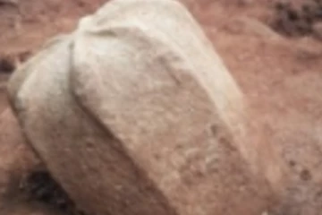 குருந்தூர் மலை தொடர்பான இரகசியங்கள் வெளியானது!