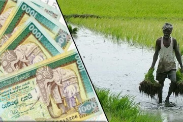 விவசாயிகளுக்கு மகிழ்ச்சியான தகவல்: குறையும் விலை