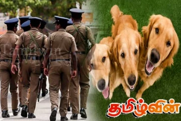 நாய் கடித்த பெண்ணுக்கு 40 ஆயிரம் ரூபா அபராதம் செலுத்திய உரிமையாளர்