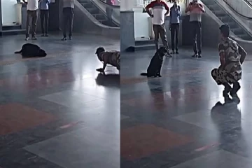 ரயில் நிலையத்தில் யோகா செய்து அசத்தும் நாய்: வைரலாகும் வீடியோ