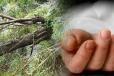 மரத்தில் இருந்து வீழ்ந்து குடும்பஸ்தர் மரணம்..!