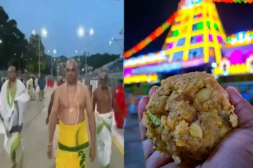 திருப்பதி லட்டில் மாட்டுக்கொழுப்பு - தோஷத்தை போக்க அர்ச்சகர்கள் செய்த சம்பவம்!