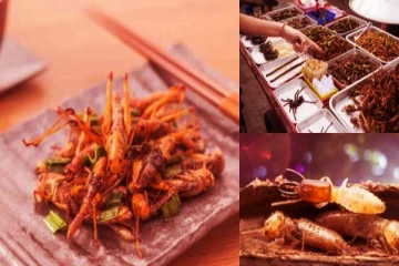 சிங்கப்பூரில் உண்ணப்படும் 16 வகையான பூச்சி வகைகள்! இதெல்லாம் சாப்பிடுவாங்களா?