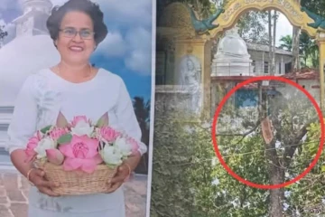 மரக்கிளை முறிந்து விழுந்ததில் பெண் உயிரிழப்பு