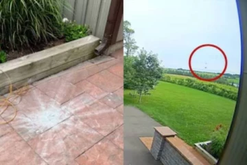 பூமியில் விழுந்த விண்கல்; முதல்முறையாக அந்த சத்தம் பதிவு - 4.5 பில்லியன் ஆண்டுகள் பழசாம்..