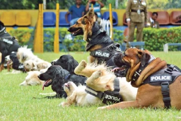 இறக்குமதி செய்யப்படும் 25 மோப்ப நாய்கள்:ஒரு நாயின் விலை 10 லட்சம் ரூபாய்