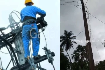 "ලයිට් කණු, වයර් කඩන් වැටිලා|මණ්ඩලයට කියලා දවස් පහක් වෙලත් ඇවිත් නෑ" - (VIDEO)