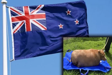 செல்ல நாய்க்கு அளவுக்கு அதிகமாக உணவளித்தவருக்கு ஏற்பட்ட நிலை