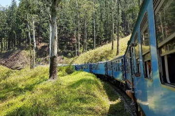 நுவரெலியாவில் தொடருந்து மோதியதில் ஒருவர் உயிரிழப்பு